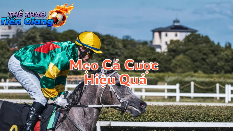 Mẹo Cá Cược Thể Thao Hiệu Quả Nhất